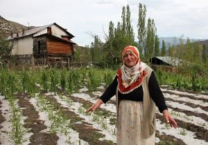 Dolu tarım arazilerini vurdu